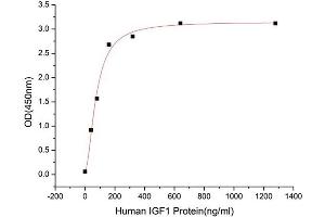 Insulin-Like Growth Factor Binding Protein 1 (IGFBPI) (AA 26-259) (Active) protein (His tag)