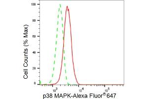 Flow cytometric analysis of p38 MAPK expression in HeLa cells using p38 MAPK antibody (ABIN7799448), 1:2,000). (Rekombinanter MAPK14 Antikörper)