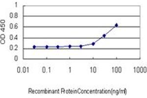 Detection limit for recombinant GST tagged LHX4 is approximately 3ng/ml as a capture antibody. (LHX4 Antikörper  (AA 208-306))