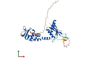 Protein Structure (PS) image for Potassium Channel Tetramerisation Domain Containing 7 (KCTD7) (AA 1-289) protein (His tag) (ABIN7558701)