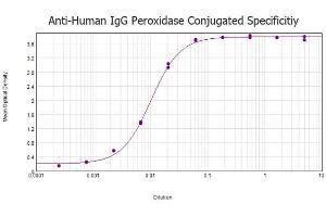 ELISA results of Rabbit anti-Human IgG Antibody Peroxidase Conjugated tested against purified Human IgG protein. (Kaninchen anti-Human IgG (Heavy & Light Chain) Antikörper (HRP))