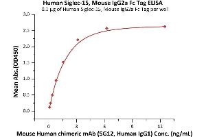 Immobilized Human Siglec-15, Mouse IgG2a Fc Tag (ABIN6992323) at 1 μg/mL (100 μL/well) can bind Mouse Human chimeric mAb (5G12, Human IgG1) with a linear range of 0.