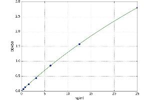 A typical standard curve