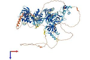 TDRD7 Protein (AA 1-1098) (His tag)