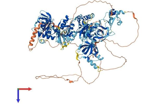 TDRD7 Protein (AA 1-1098) (His tag)