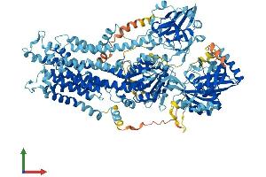 AlphaFold protein structure predicition of Mouse Recombinant Atp8b5 Protein, UniprotID A3FIN4