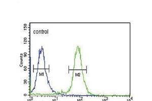 GP6 Antibody (C-term) (ABIN651878 and ABIN2840435) flow cytometric analysis of K562 cells (right histogram) compared to a negative control cell (left histogram). (GP6 Antikörper  (C-Term))