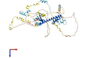 REC8 Protein (AA 1-547) (His tag)