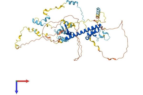 REC8 Protein (AA 1-547) (His tag)