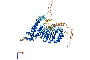 FBXO33 Protein (AA 1-562) (His tag)