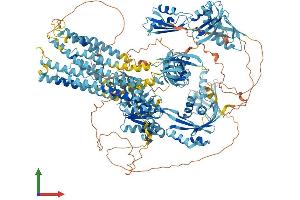 Protein Structure (PS) image for ATPase, Cu++ Transporting, beta Polypeptide (ATP7B) (AA 1-1462) protein (His tag) (ABIN7563992)