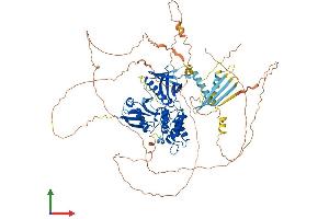 Protein Structure (PS) image for Erythrocyte Membrane Protein Band 4.1 (Elliptocytosis 1, RH-Linked) (EPB41) (AA 1-858) protein (His tag) (ABIN7563306)