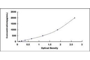 Cathepsin S ELISA Kit