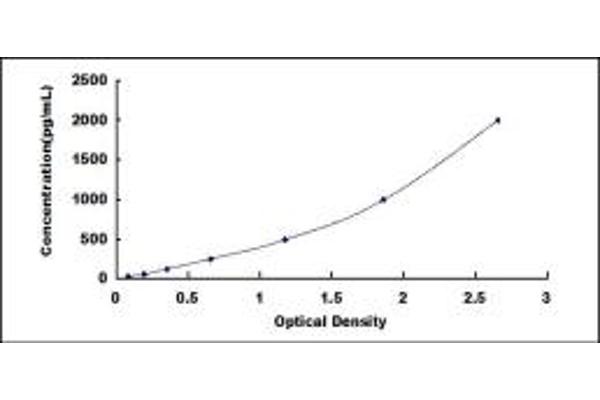 Cathepsin S ELISA Kit