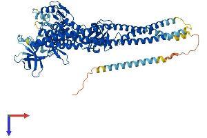 TBK1 Protein (AA 1-729) (His tag)