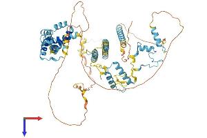 Splicing Factor 4 Protein (SF4) (AA 1-645) (His tag)