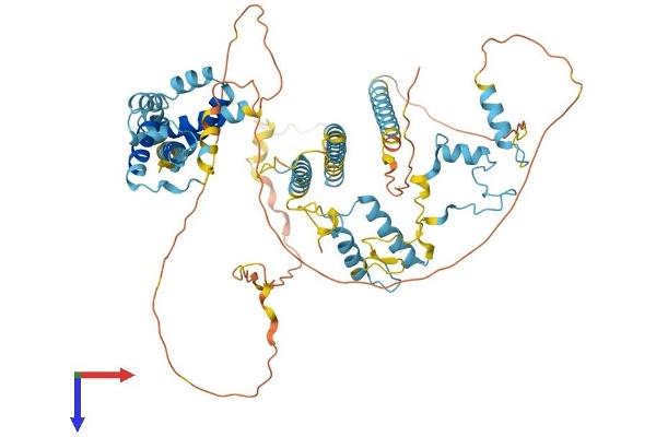 Splicing Factor 4 Protein (SF4) (AA 1-645) (His tag)
