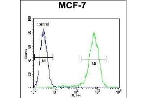 LYSMD4 Antibody (N-term) (ABIN654381 and ABIN2844130) flow cytometric analysis of MCF-7 cells (right histogram) compared to a negative control cell (left histogram). (LYSMD4 Antikörper  (N-Term))