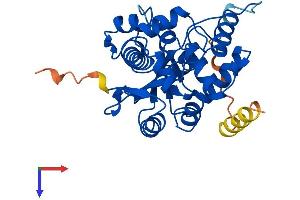 CNOT8 Protein (AA 1-292) (His tag)