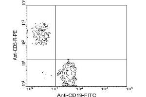 Flow Cytometry (FACS) image for anti-CD5 (CD5) antibody (PE) (ABIN356205) (CD5 Antikörper  (PE))