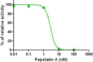 Activity Assay (AcA) image for SensoLyte® 520 Cathepsin D Assay Kit (ABIN1882439) (SensoLyte® 520 Cathepsin D Assay Kit)