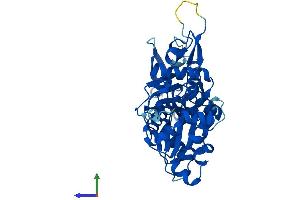 Protein Structure (PS) image for Actin-Related Protein T2 (ACTRT2) (AA 1-377) protein (His tag) (ABIN7561175)
