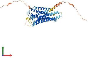 Protein Structure (PS) image for Prostaglandin E Receptor 3 (Subtype EP3) (PTGER3) (AA 1-365) protein (His tag) (ABIN7563092)
