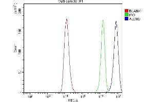 Flow Cytometry analysis of RT4 cells using anti-ALDH3A1 antibody (ABIN7602181). (ALDH3A1 Antikörper  (AA 62-101))