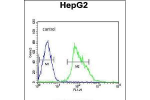 Flow cytometric analysis of HepG2 cells (right histogram) compared to a negative control cell (left histogram). (UBP17 Antikörper  (C-Term))