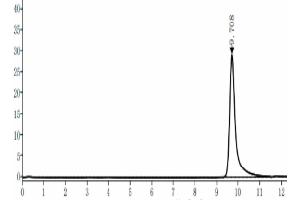 The purity of Human PRL-3 is greater than 95 % as determined by SEC-HPLC.