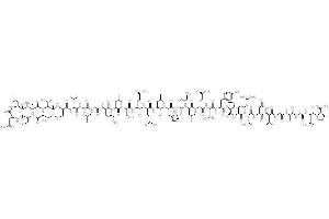 Image no. 1 for Calcitonin (Calca) peptide (ABIN399331) (Calcitonin (Calca) Peptid)