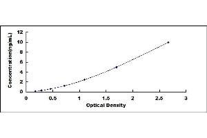 Typical standard curve (Adenylate Kinase 3 ELISA Kit)