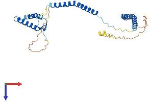 NSL1 Protein (AA 1-281) (His tag)
