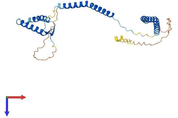NSL1 Protein (AA 1-281) (His tag)
