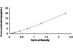 Typical standard curve (ELA2B ELISA Kit)