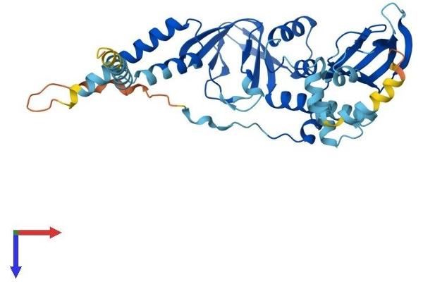 PRKAR1A Protein (AA 1-381) (His tag)