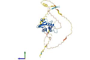Protein Structure (PS) image for Interferon Regulatory Factor 1 (IRF1) (AA 1-325) protein (His tag) (ABIN7554193)