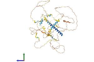 Protein Structure (PS) image for CREB Regulated Transcription Coactivator 1 (CRTC1) (AA 1-630) protein (His tag) (ABIN7564004)