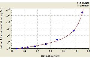 Typical Standard Curve (Tenascin N ELISA Kit)