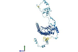 Protein Structure (PS) image for Tropomodulin 4 (TMOD4) (AA 1-345) protein (His tag) (ABIN7544494)