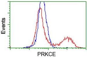 Flow Cytometry (FACS) image for anti-Protein Kinase C, epsilon (PRKCE) antibody (ABIN1500234) (PKC epsilon Antikörper)