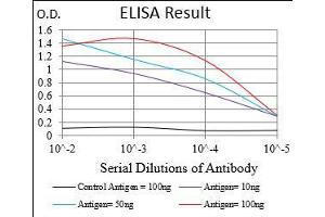 Black line: Control Antigen (100 ng), Purple line: Antigen(10 ng), Blue line: Antigen (50 ng), Red line: Antigen (100 ng), (IGFBP7 Antikörper  (AA 52-156))
