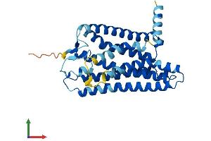 AlphaFold protein structure predicition of Human Recombinant OR8H1 Protein, UniprotID Q8NGG4 (OR8H1 Protein (AA 1-311) (His tag))