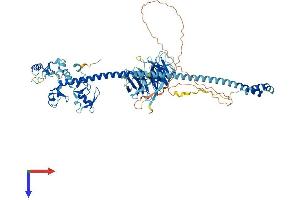 TRIM56 Protein (AA 1-734) (His tag)