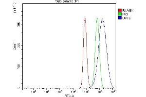 Flow Cytometry analysis of A549 cells using anti-HUPF2/RENT2/UPF2 antibody (ABIN7600567). (RENT2/UPF2 Antikörper  (AA 200-651))