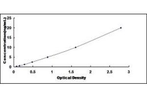 Typical standard curve (Kazald1 ELISA Kit)