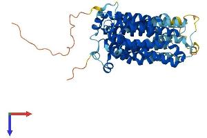 Solute Carrier Family 17 (Acidic Sugar Transporter), Member 5 (SLC17A5) (AA 1-495) protein (His tag)
