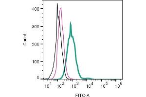 Cell surface detection of Leptin Receptor by direct flow cytometry in live intact mouse J774 macrophage cell line: + Rabbit IgG isotype control-FITC (ABIN7582044). (Leptin Receptor Antikörper  (Extracellular) (FITC))