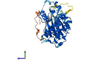 AlphaFold protein structure predicition of Mouse Recombinant Cdk20 Protein, UniprotID Q9JHU3