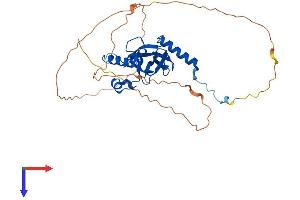 SETD8 Protein (AA 1-349) (His tag)